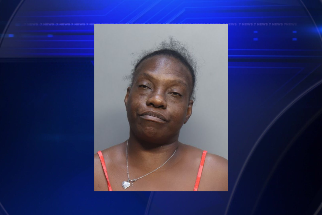 Woman charged with assault after McDonald’s drive-thru dispute