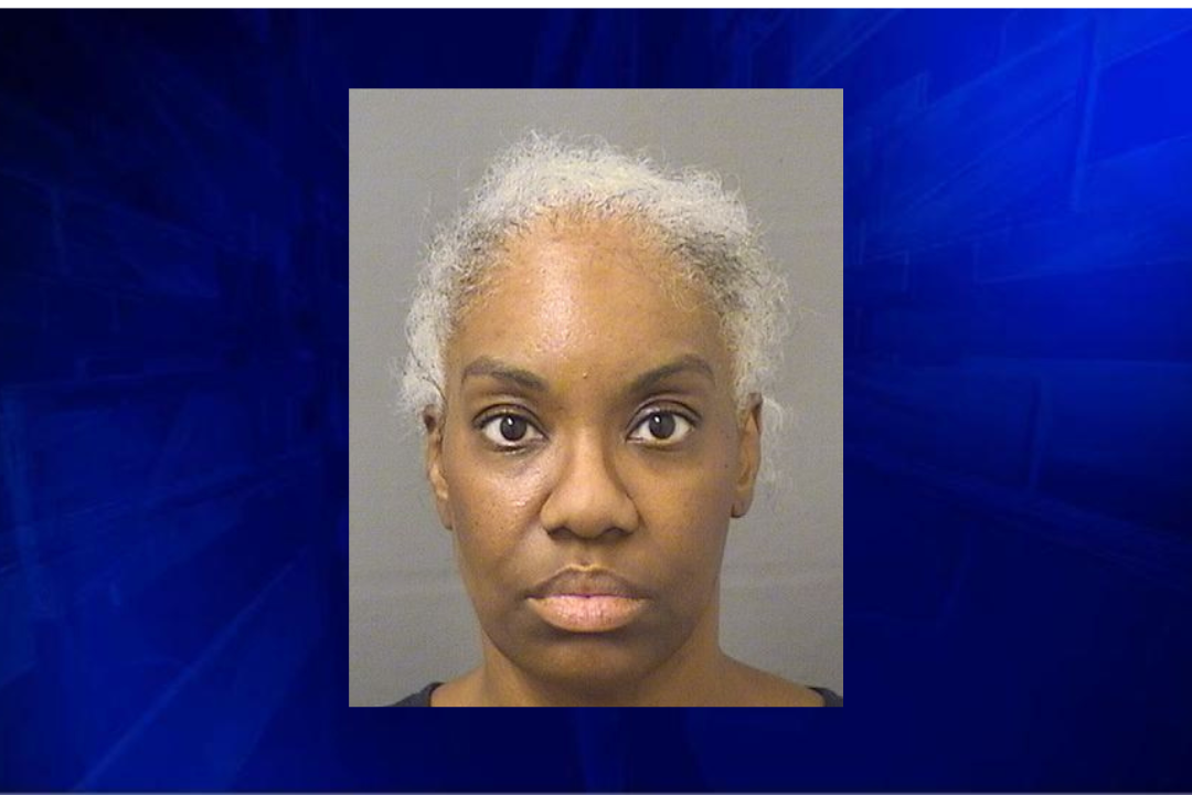 Woman arrested in Palm Beach County for serial package thefts