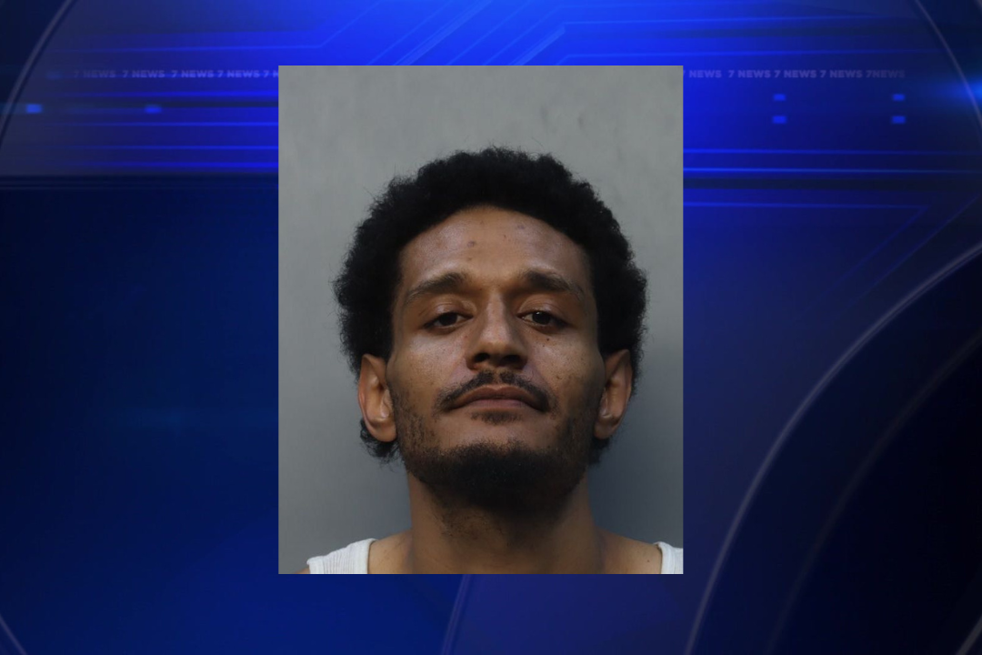 Hialeah police capture suspect in series of vehicle burglaries - WSVN ...