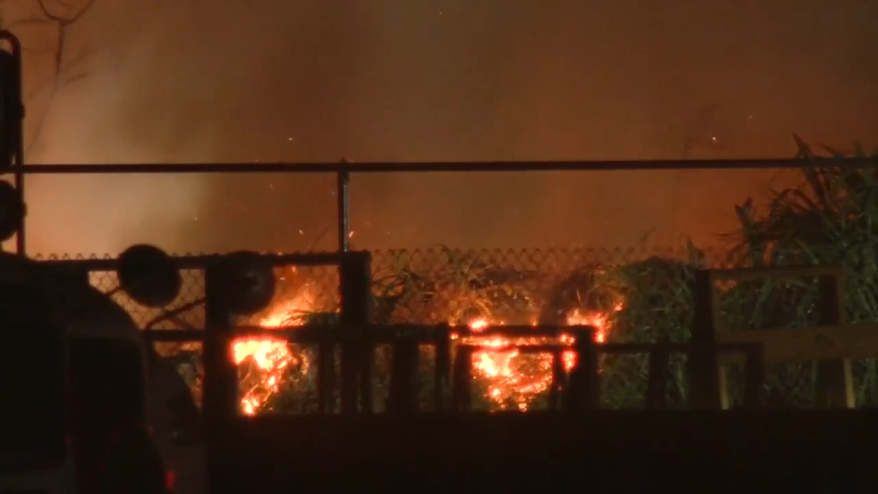 Firefighters battle grass fire in Southwest Miami-Dade; five acres have been burned