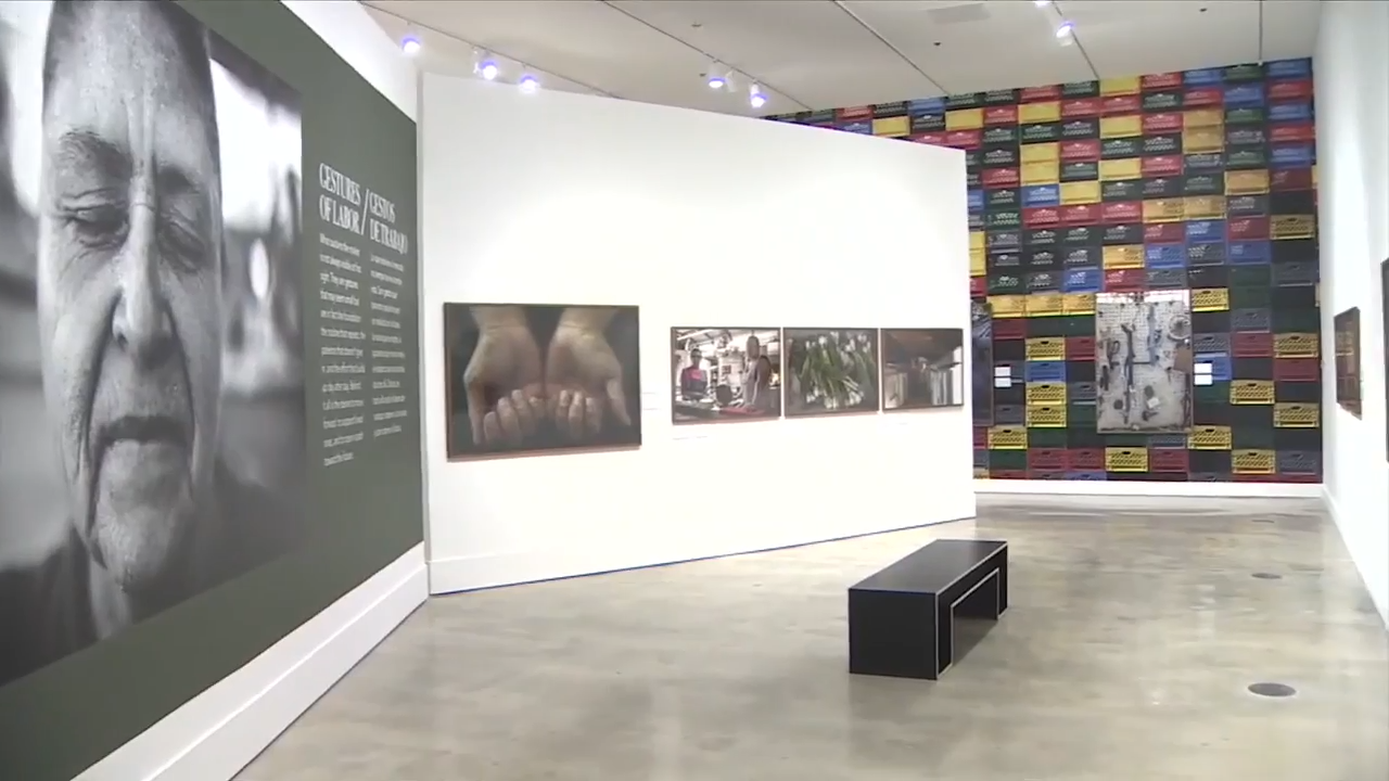 HistoryMiami Museum debuts as Museum of Miami, city’s first ‘Museum Without Walls’