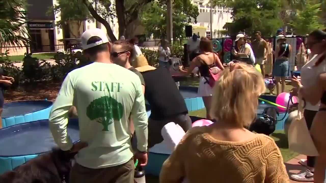 Chewy attempts Guinness World Record for largest dog pool party