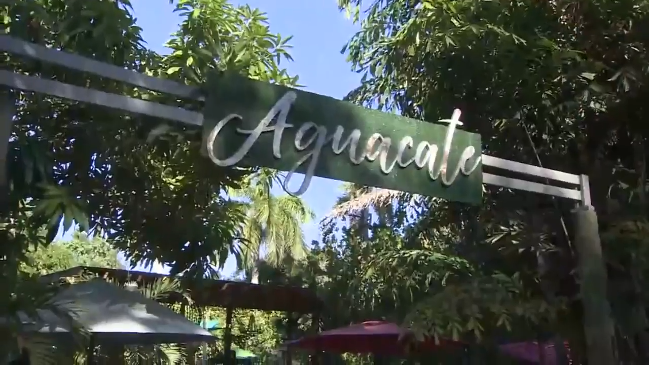 Aguacate Garden of Love reopens after hiatus bringing delicious vegan meals and mindfulness workshops in Miami