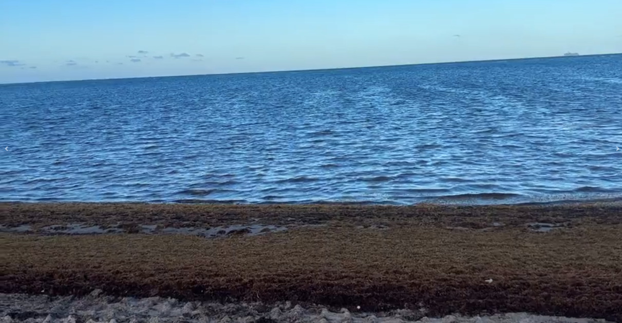 Health officials issue water advisory for Crandon Park North after samples show high bacteria levels