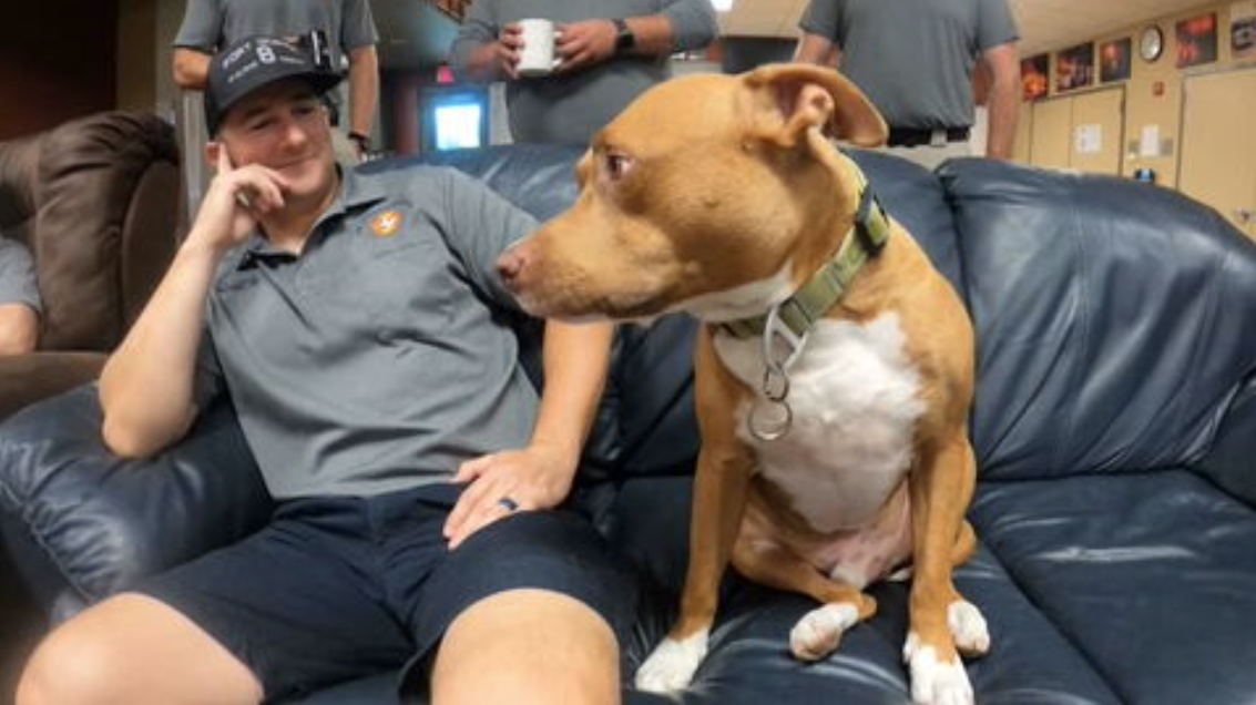 Veteran’s heartbreaking letter leads pit bull to new home at North Texas fire station: “Please help my baby”