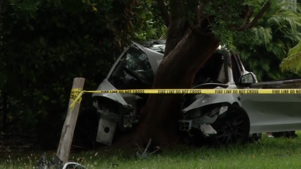 wsvn.com - Kevin Boulandier - Driver hospitalized after Tesla erupts into flames after crashing into tree in SW Miami-Dade - WSVN 7News | Miami News, Weather, Sports | Fort Lauderdale