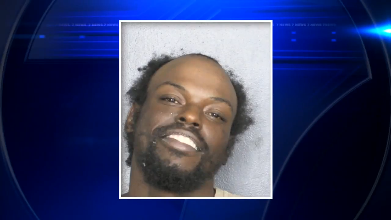 Driver accused in dash and crash in Hallandale Beach faces multiple charges