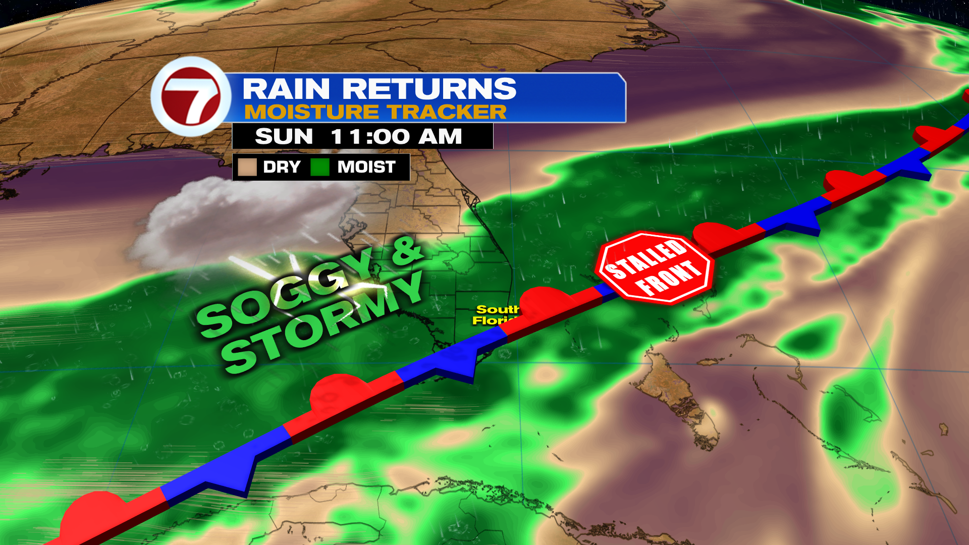 Soggy and Stormy Sunday