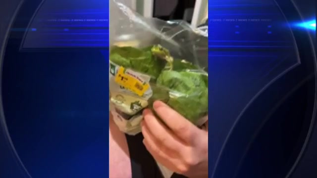 Lettuce introduce you to the live frog found in a grocery store salad bag in Australia