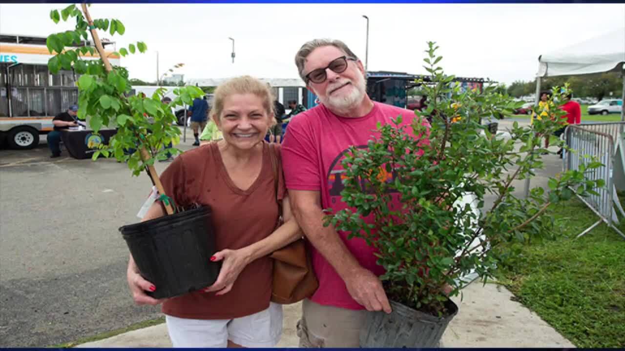 Miami-Dade County’s ‘Adopt-a-Tree’ program gives homeowners trees through planting project