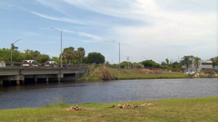 Investigation underway after a man was found dead under a Miami-Dade ...