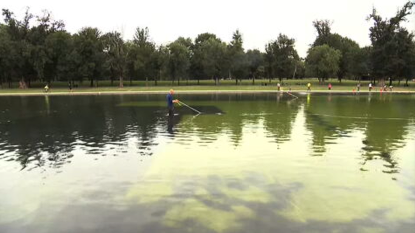 Trump claims vandals will force drainage of algae-plagued Reflecting Pool