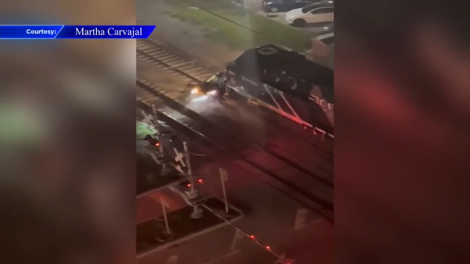 wsvn.com - Litzy Grijalba - Video captures train colliding with car in Hollywood; no injuries reported - WSVN 7News | Miami News, Weather, Sports | Fort Lauderdale