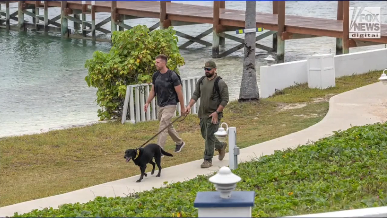 BSO K-9 team joins search for missing woman in Bahamas; Fox News reports husband may have left US