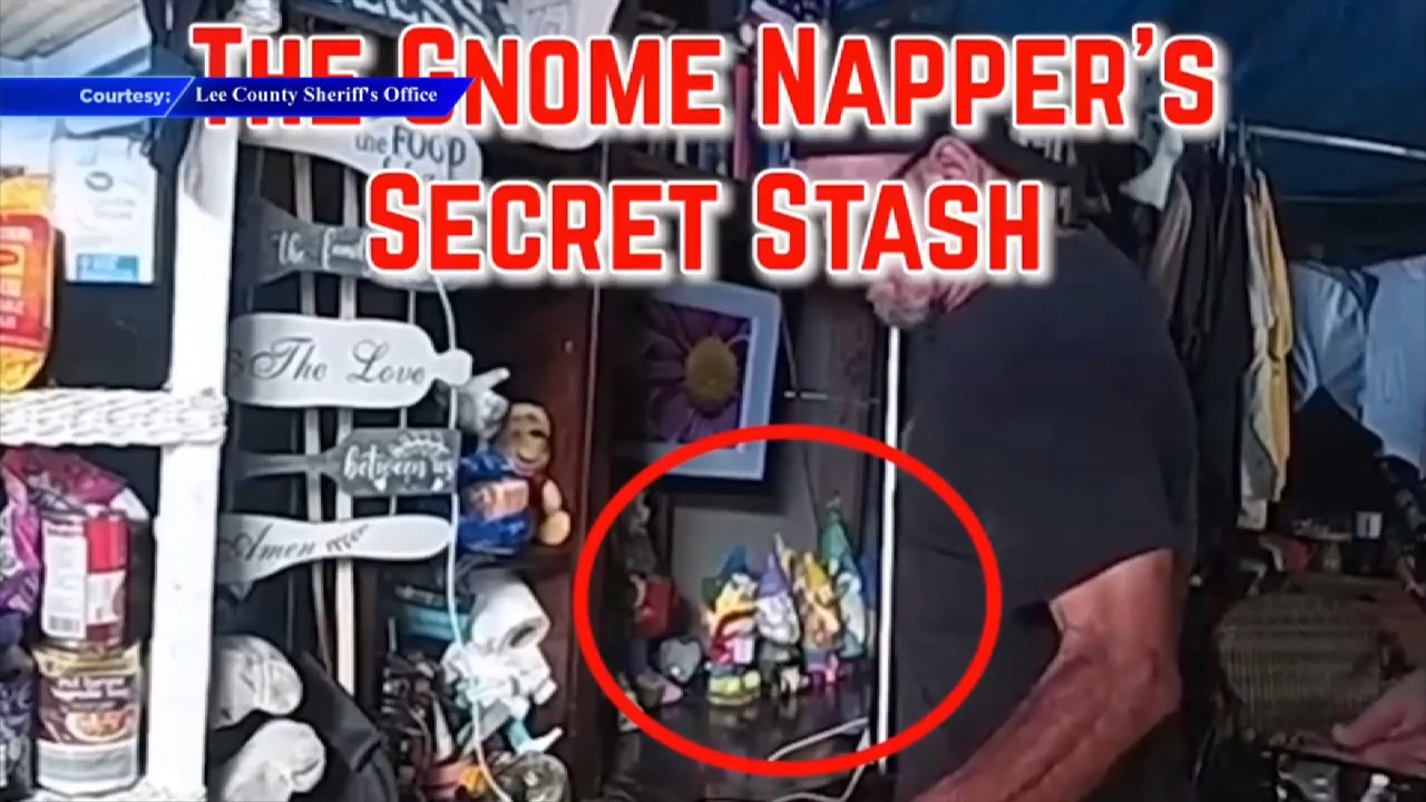 Florida man steals over a dozen garden gnomes in Lee County