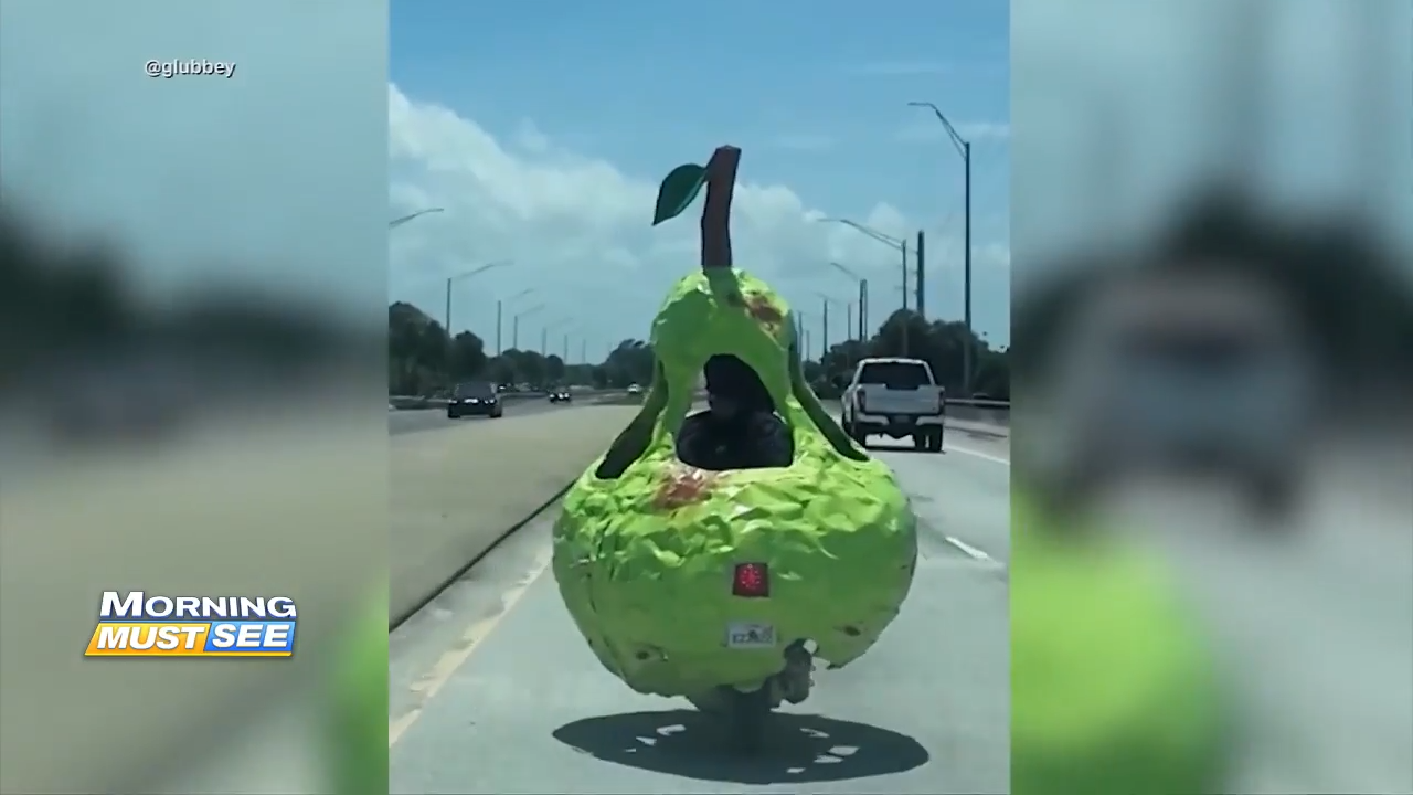 Florida sculptor converts moped into pear-shaped vehicle, is riding it across US