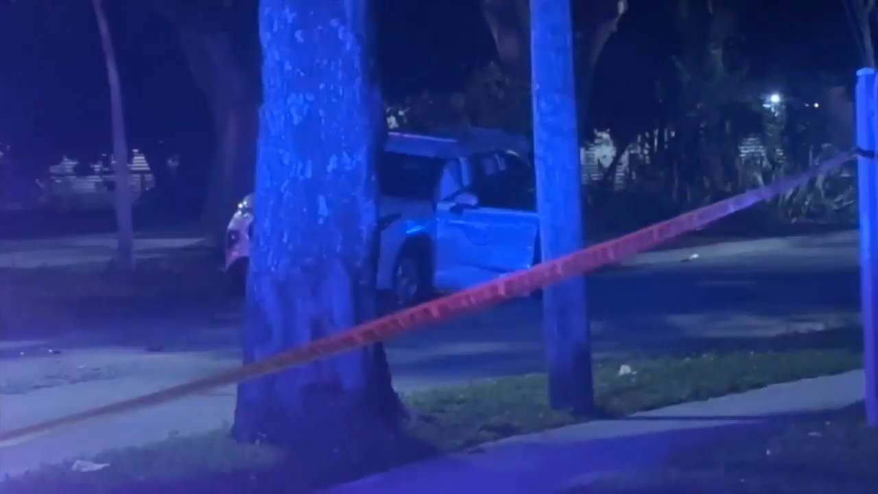 Miami Police sergeant and Uber driver hospitalized after a nearby shooting causes crash, injury; both expected to be OK