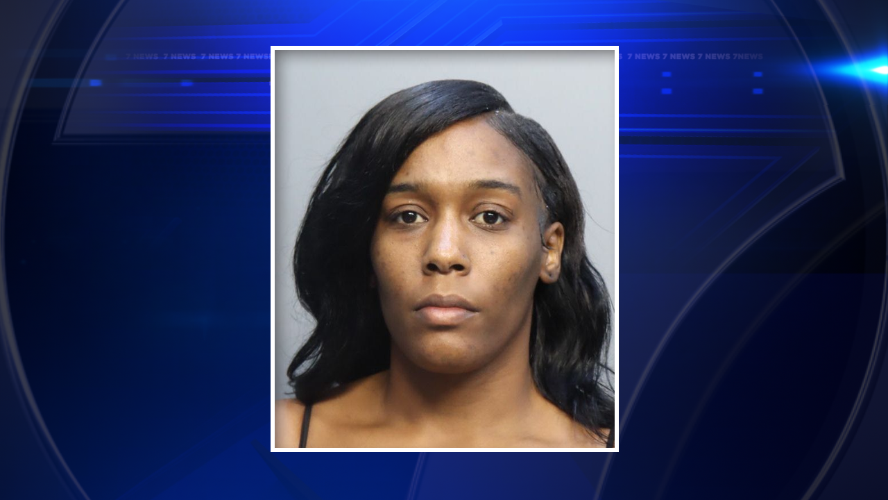 North Miami Beach woman charged in hit-and-run tha