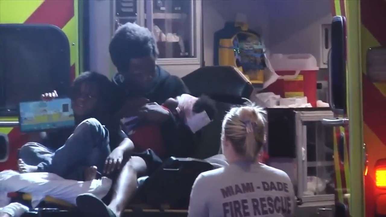 1-year-old boy in stable condition after dog bite in Southwest Miami ...