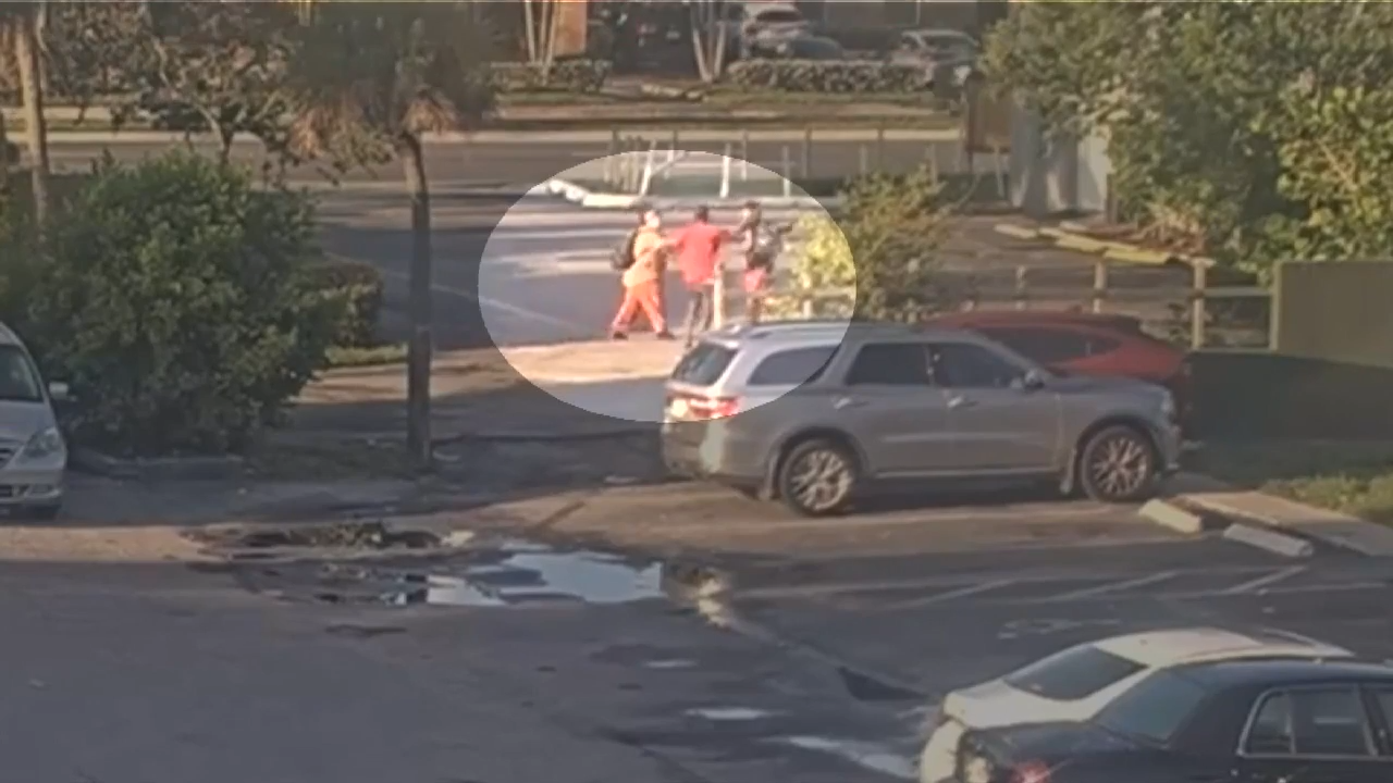 Surveillance video shows man attacking mother, autistic son in Fort Lauderdale