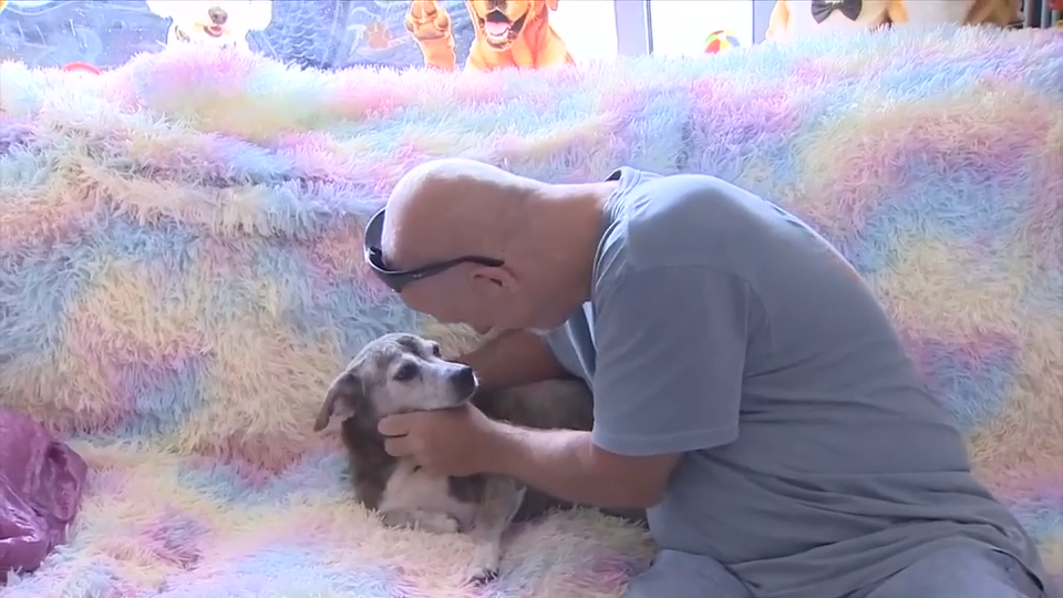 Maryland dog reunited with owner’s son in Pompano Beach after being found hundreds of miles away from home