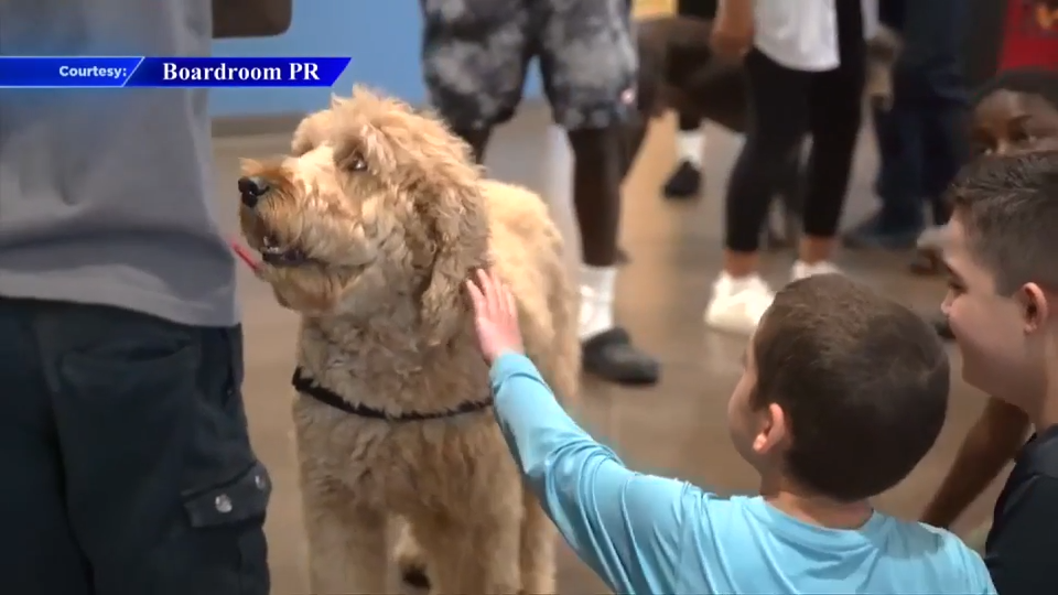 Sunrise Police bring K-9s for interactive demonstration with summer campers at JAFCO’s Children’s Ability Center