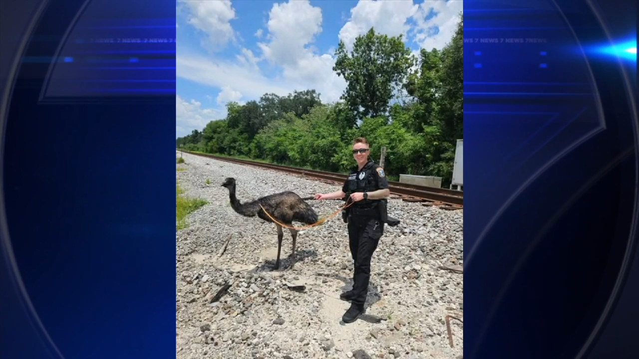 Officers chase down escaped emu near Tampa