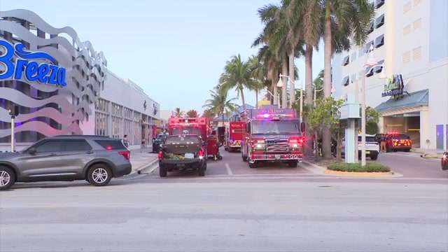 Dog Rescued From Hollywood Apartment Fire