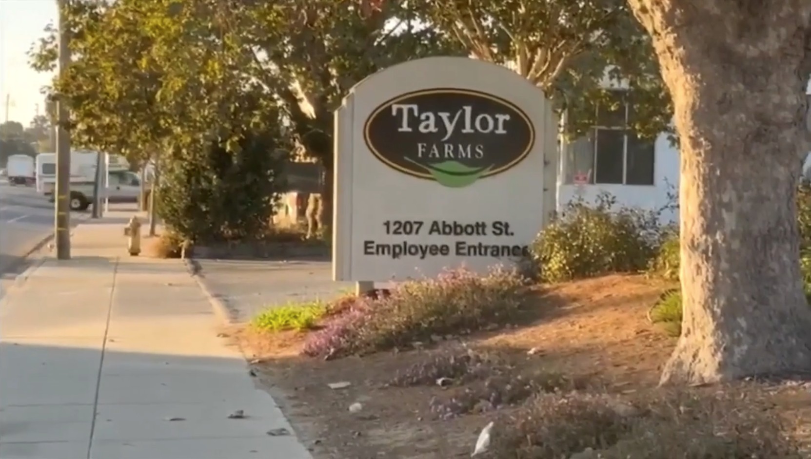 Taylor Farms recalls lettuce shipped to 27 states over cyclospora risk