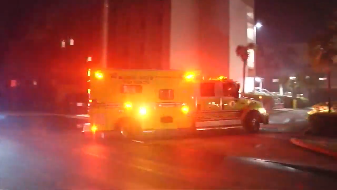 1-year-old boy in stable condition after dog bite in Southwest Miami-Dade
