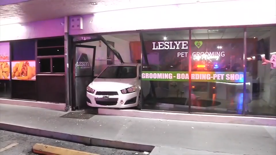 Driver smashes through Doral pet grooming shop; owner says no animals were hurt