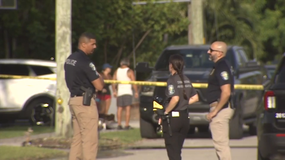wsvn.com - Jayme Berezdivin - 1 in custody, 2 hospitalized after shooting on Hollywood street as detectives investigate - WSVN 7News | Miami News, Weather, Sports | Fort Lauderdale