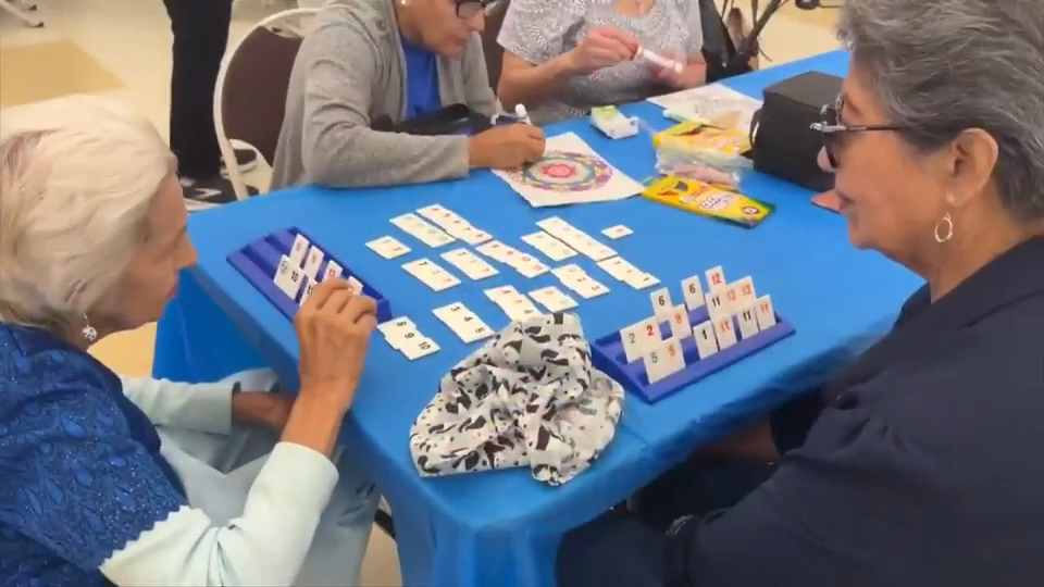 Free program for seniors offers an array of activities and encourages independence