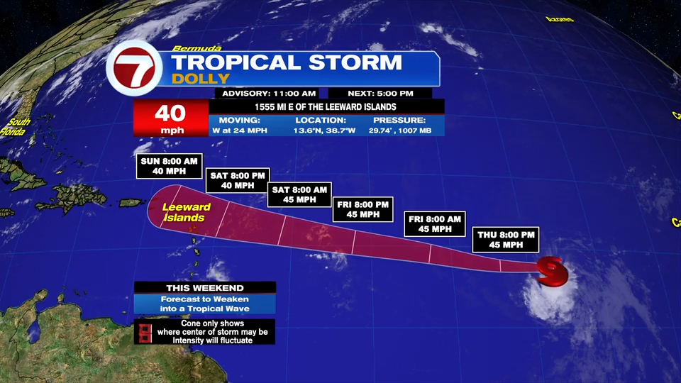 Work by WSVN