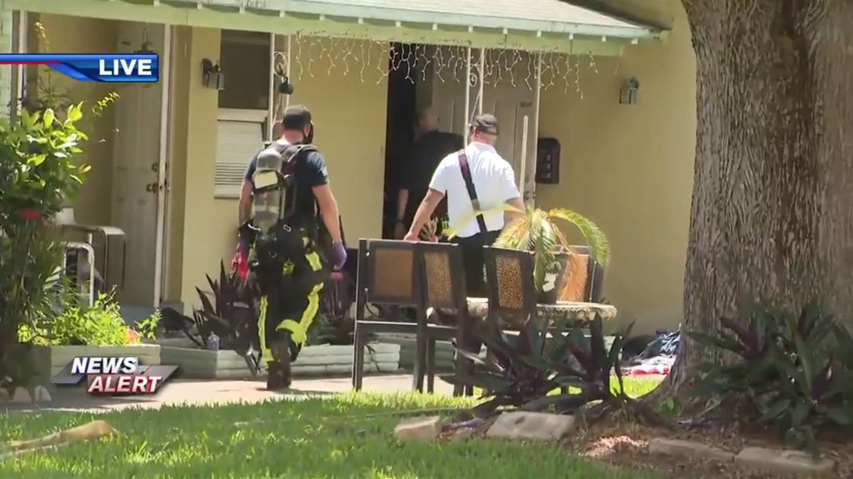 Several dogs killed after fire ignites in Hollywood apartment