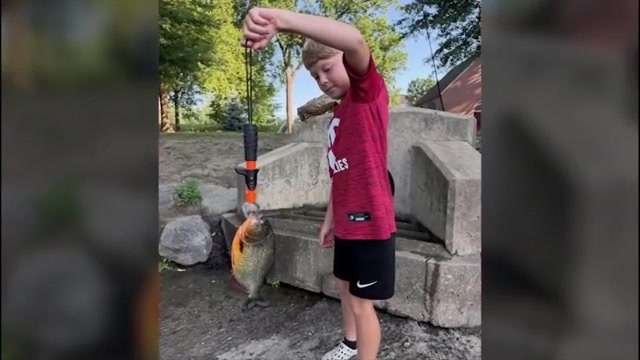 Red-Bellied Piranha Caught in Delaware County Lake