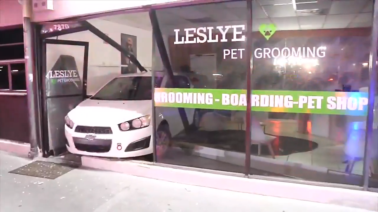 Car smashes through Doral pet grooming shop, no injuries reported