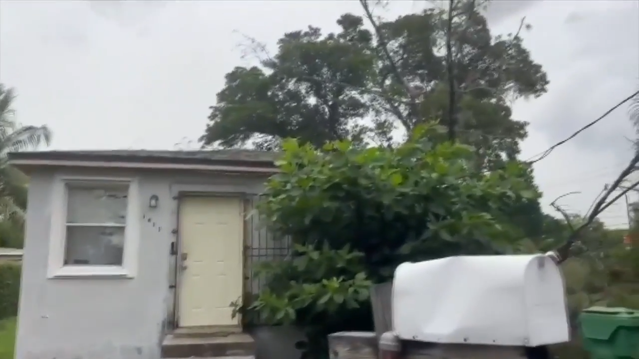Liberty City family left with damaged home and no power after tree falls into roof following fierce storms
