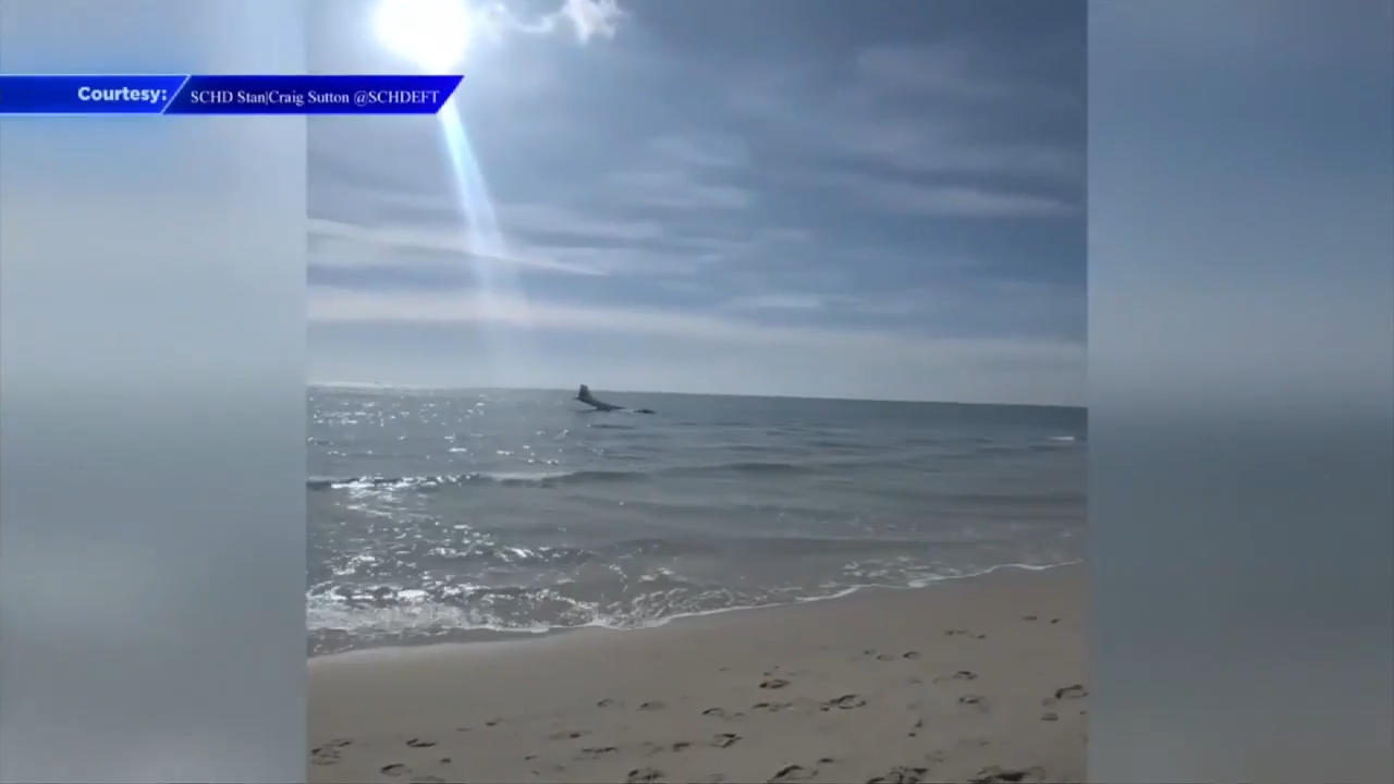 Piper Plane Crashes Into Ocean Off Boca Raton Coast; Pilot Unharmed