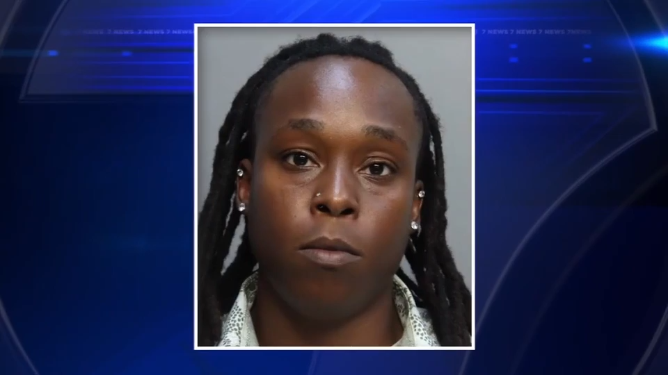 Substitute teacher charged with felony after bringing gun to Westland Senior High School
