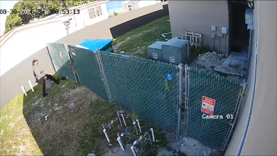 Suspect in killings of mother duck, ducklings in Pembroke Pines arrested after good Samaritan recognizes him - WSVN 7News | Miami News, Weather, Sports | Fort Lauderdale
