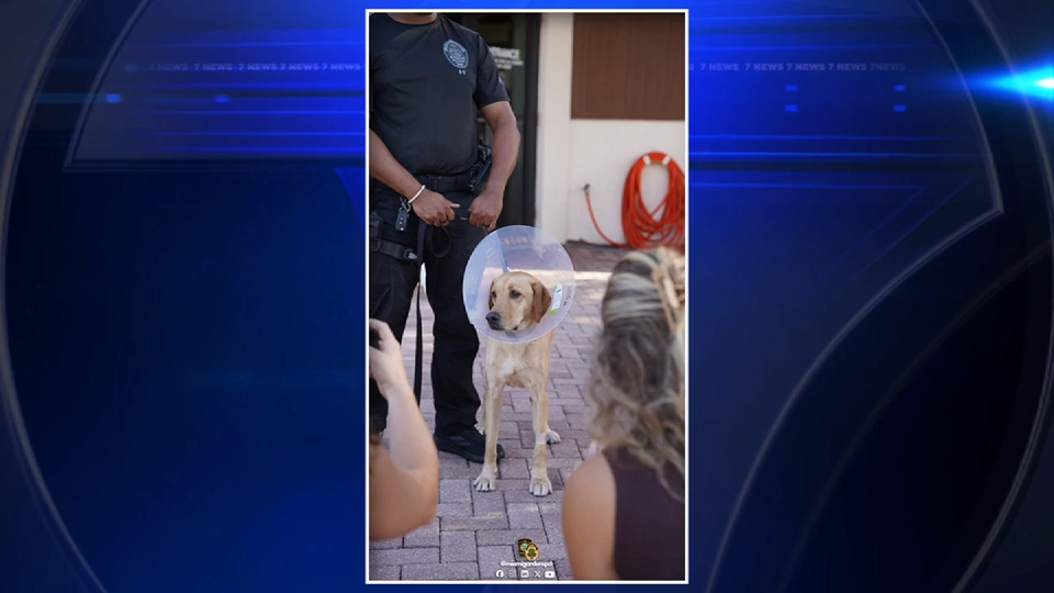 Police K-9 Gael Returns Home After Week-Long Disappearance