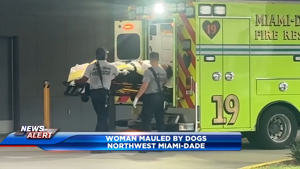 Woman critical after being mauled by pack of dogs in NW Miami-Dade