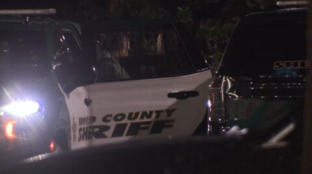 Woman, child hospitalized after dog attack in Dania Beach, officials say