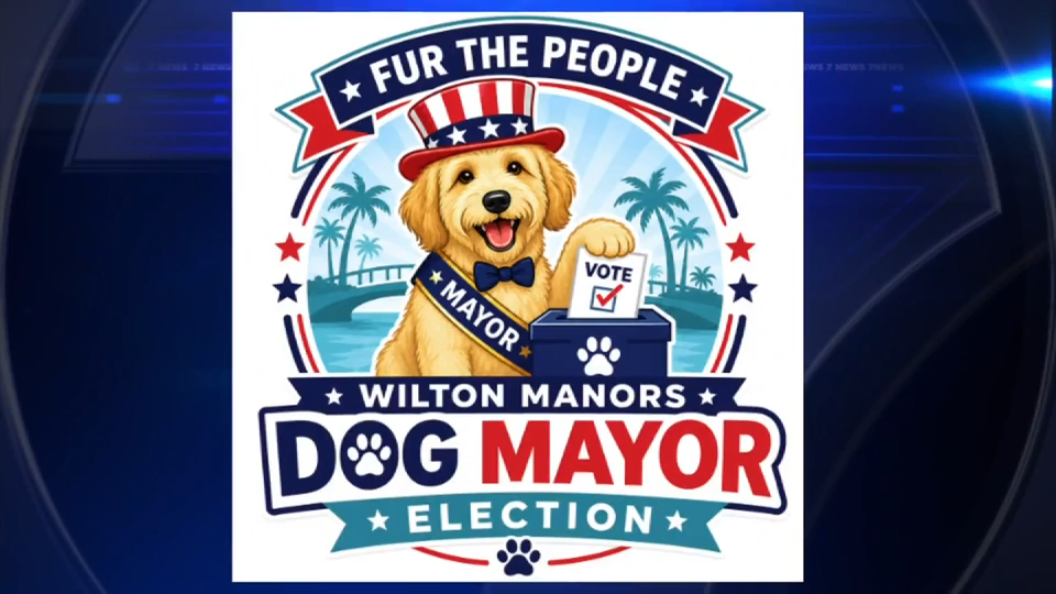 Wilton Manors taking applications for city’s first-ever dog mayor