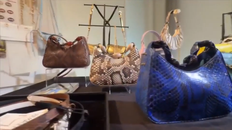 Professional python hunter turns invasive snakes into luxury bags with help of female founded company