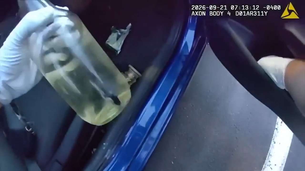 Bodycam video shows deputies in Lee County finding fish in a bottle during car search; 4 arrested