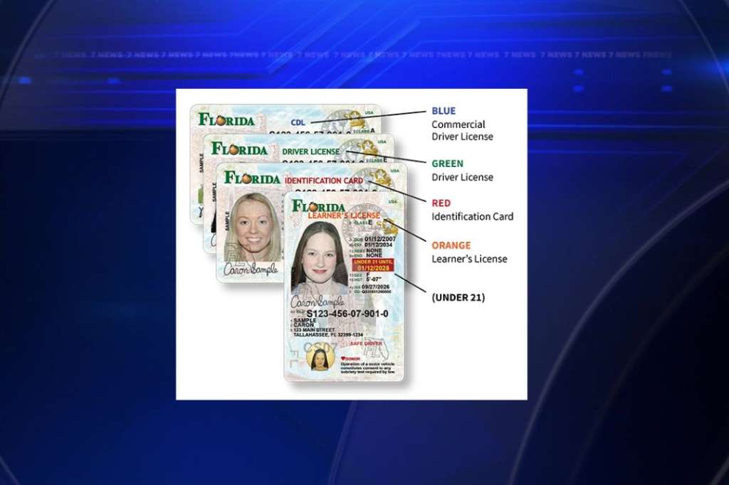 New Florida Drivers License Design
