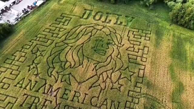 Aw shucks: Dolly Parton corn mazes crop up in fields nationwide