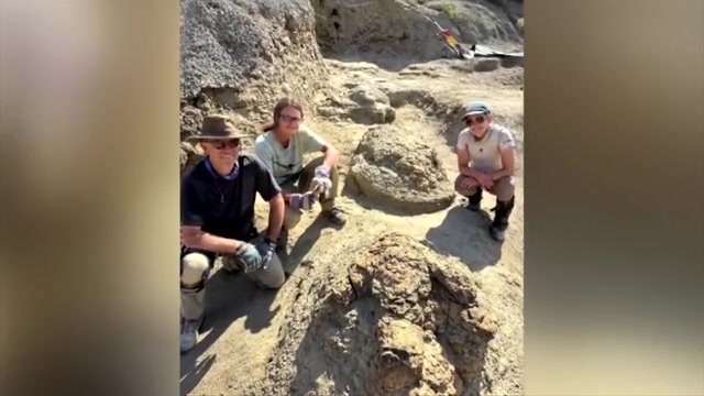 Colorado science teacher hopes his T. rex trackway discovery fuels ferocious passion for learning